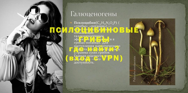 тгк Алзамай