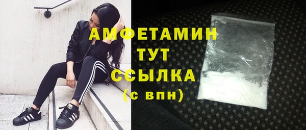 спайс Пересвет